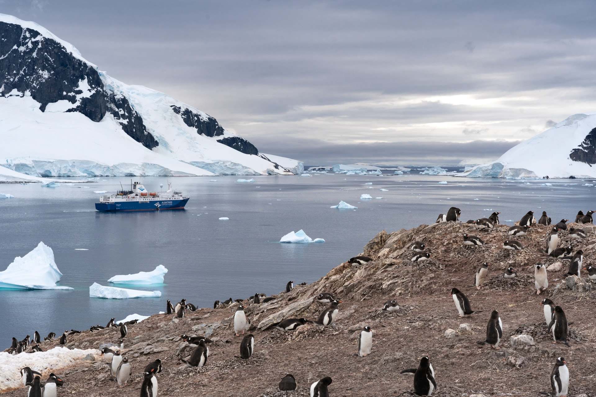 Az Antarktisz az egyetlen koronavírus-mentes kontinens
